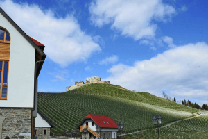 Weingut Taggenbrunn in der Region Mittelkärnten